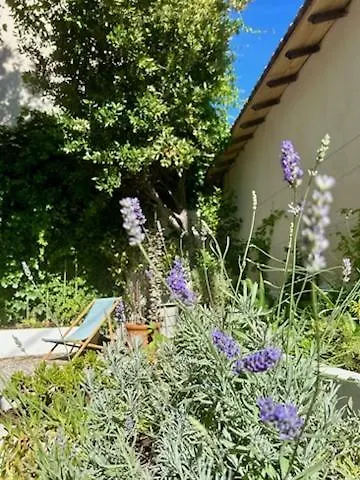 Bord De Mer, Magnifique Appartement De 150M2 Avec Jardin Marseille Apartment